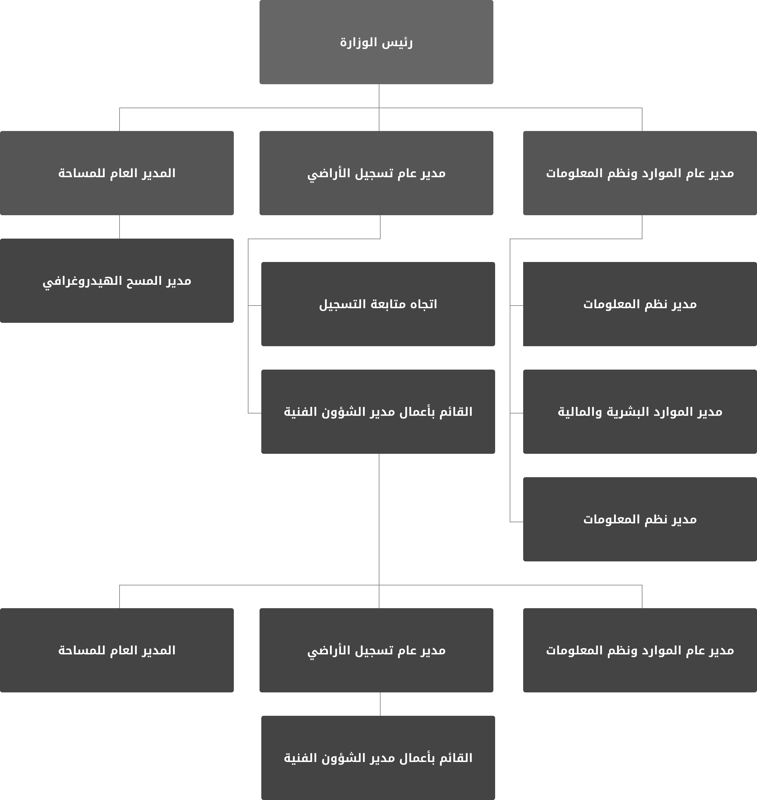 Organizational Chart Dark
